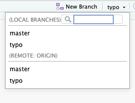The window shows under the two headings "(Local Branches") and (Remote: Origin) with "master" and "typo" two branches.
